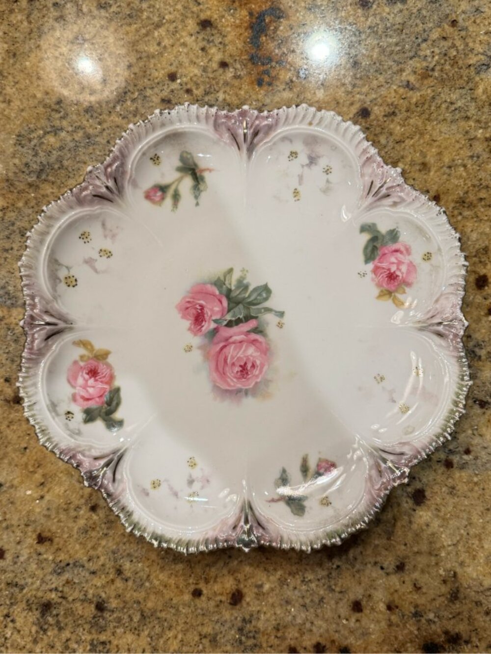 RS Prussia Porcelain Floral Cabinet Plate Scalloped Mold Pink Roses ~8"